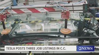 Tesla posts three job listing in Corpus Christi