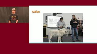 Wolf Conservation Ted Talk