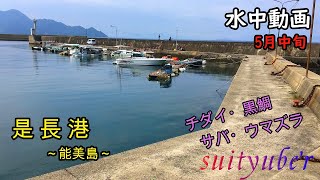 釣り人目線の水中動画　是長港（能美島）5月