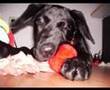 Tomte - Endlich einmal