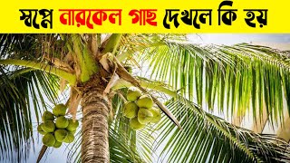 স্বপ্নে নারকেল গাছ দেখলে কি হয় | স্বপ্নে ডাব গাছ দেখলে কি হয় | স্বপ্নে ডাব খেলে কি হয়