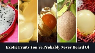 6 Extraordinary Fruits Around The World