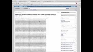Sequence search and primer design- Screen Capture