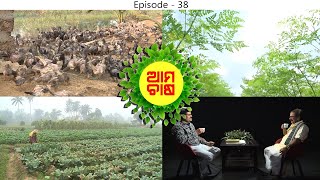 ଆମ ଚାଷ (38 ଅଧ୍ୟାୟ ) | Aama Chaasa (38th Episode)