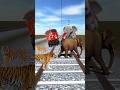 Elephant, tiger, Dog,cat crossing train line #shorts #youtubeshorts