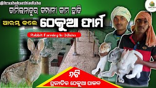 How To Start Rabbit Farm In Odishaକମ୍ପାନୀ କାମ ଛାଡି ଆରମ୍ଭ କଲେ ଠେକୁଆ ଫାର୍ମRabbit Farm Profit In Odisha