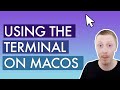 Using the Terminal on macOS for beginners