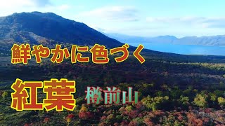 【みんぽう花便り】樽前山の紅葉2021