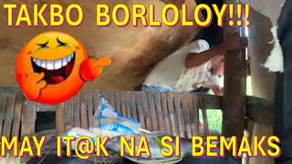 Nagkuha na si Bemaks Ng katapat mo Borloloy🤣 Watch till the end🤣Bemaks tv