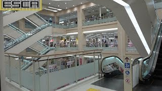 イトーヨーカドー木場店 エスカレーター 2F-3F 三菱 Mitsubishi Escalator ito yokado kiba