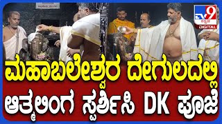 DKS in Gokarna: ಗೋಕರ್ಣದ ಮಹಾಬಲೇಶ್ವರ ದೇವಸ್ಥಾನದಲ್ಲಿ ಆತ್ಮಲಿಂಗ ಸ್ಪರ್ಶಿಸಿ ಪೂಜೆ ಸಲ್ಲಿಸಿದ ಡಿಕೆಶಿ | #TV9D