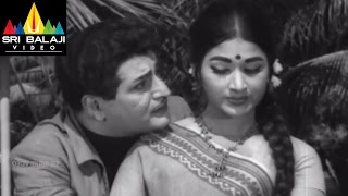 Jeevitha Chakram Telugu Movie Part 5/15 | NTR, Vanisri, Sharada | Sri Balaji Video