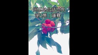 阿惠的台語世界2#蓮霧#台語俗諺#台語詩#台語笑話#台語故事#台語小說#台語文章#台語認證考試