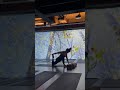 yoga journey 3d光影沉浸式瑜珈．免費體驗