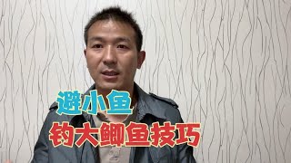 野钓：小杂鱼疯狂闹窝怎么办？老钓鱼人的3个技巧，专钓大鲫鱼