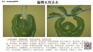 48、流星赶穴法36 斜撇水分流水漏槽水刑杀水 - 东灵易占杨公风水辩龙寻龙流星赶穴法（2019初级班）