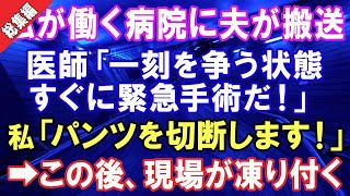 【総集編】【スカッとする話】私が働く病院に夫が交通事故で緊急搬送！看護師「緊急オペのため、パンツを切断します！」→思わず目を伏せたくなる！？あり得ない現状に崩れ落ちる私…【修羅場】【スカッとにゃんこ】