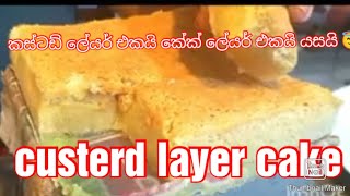 custerd cake in sinhala#කස්ටඩ් කේක් අඩු වියදමින් හදමු