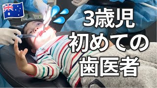 【海外で歯科検診】3歳児が初めて歯医者に行ってみた！