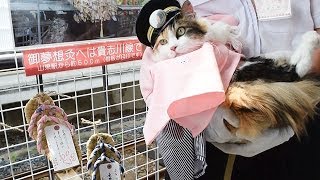 足守神社の大祭控え、ニタマ駅長が祈願