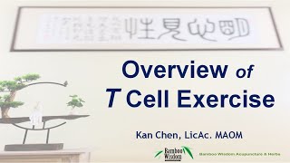 Overview of T Cell Exercise (Immunity Strength Exercise) 綜觀T細胞操（增强免疫力操）~3-5 分鐘的養生操如何幫忙我們增加免疫力呢？