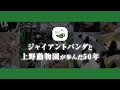 ジャイアントパンダと上野動物園が歩んだ50年