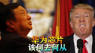 华为能绕开美国生产芯片吗？客观认识真实的中国芯片产业【军哥的杂谈】