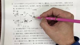 【理科　大問2⑵動物のふえ方（生命の連続性）】静岡　公立高校入試　平成27年度　ポイント解説