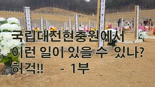 대전현충원에서 이런일이 있다니.. 허걱!! 놀라울 따름입니다 - 1부