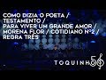 Toquinho - Como Dizia O Poeta/Testamento/Para Viver Um Grande Amor/Morena Flor (Ao Vivo)