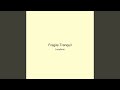 Fragile Tranquil