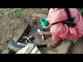 fish cutting skills appolofish kommu jella chepa cutting fishcutting జెల్ల చేప super