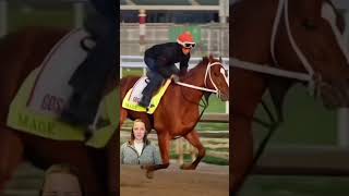 Fast, faster, fastest. #horse #kentuckyderby #running #educational