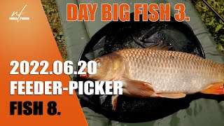 FEEDER FISHING-PICKER DAY BIG FISH 8. 2022.06.20