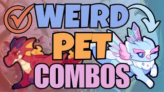 Weird Pet Combos That Just Work 3 | Prodigy Math Game