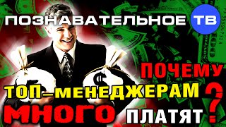 Почему топ-менеджерам много платят? (Познавательное ТВ, Михаил Величко)