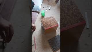 How to make cocktail and budgies breading box. in 200Rs😱😱