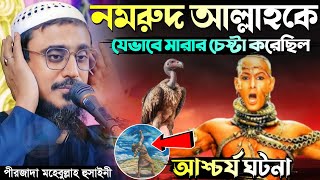 আল্লাহর সাথে নমরুদের যুদ্ধ ! আশ্চর্য ঘটনা / Pirzada Mohebbulla Hussaini ! মহেবুল্লাহ হুসাইনী ওয়াজ