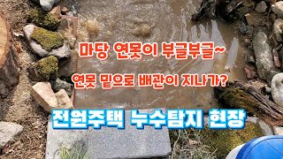 강릉 전원 주택 누수탐지. 운치 있는 미니 연못은 누수로 만들어졌어요