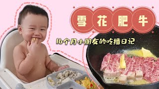 16个月的小朋友吃雪花肥牛～ 多吃牛肉让宝宝多补钙长高