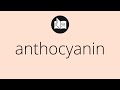 What ANTHOCYANIN means • Meaning of ANTHOCYANIN • anthocyanin MEANING • anthocyanin DEFINITION