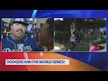 Dodgers fans take to the streets celebrating World Series win