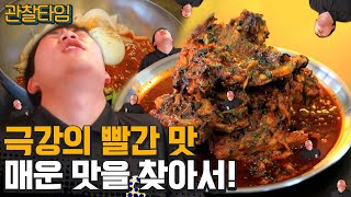 [#관찰타임] 🔥맵다매워🔥 극강의 매운 맛으로 여름나기!  | 관찰카메라 24 202 회