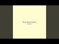 River Silver Dream