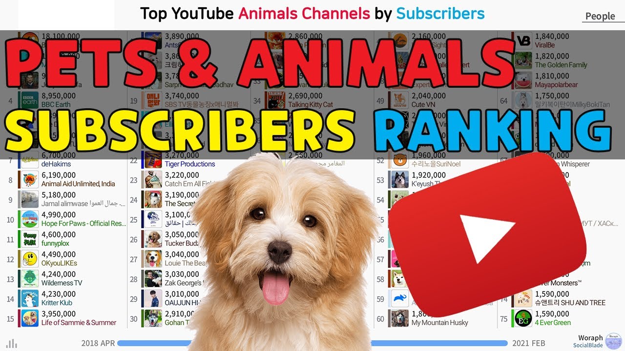 Top YouTube Pets & Animals Channels By Subscribers (2018.04~2021.02 ...