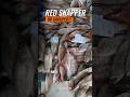 Red Snapper vs Grouper: Which One Would You Choose? #FishMarket #Trending