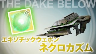 【DESTINY】ネクロカズム-Review【エキゾチックウェポン】