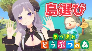 【あつ森】きたー！発売日当日！遊んでみた！part１【西園寺メアリ / ハニスト】