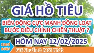 Giá hồ tiêu hôm nay ngày 12/02/2025 | Giá Tiêu Biến Động Cực Mạnh Đồng Loạt