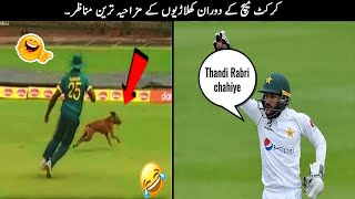 24 Funny Moments in Cricket